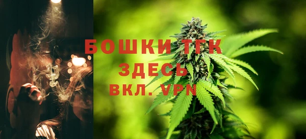 гидра Заволжск