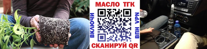 Купить где  Кадников  ТГК гашишное масло 