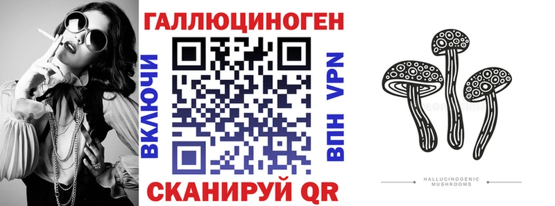 Псилоцибиновые грибы MAGIC MUSHROOMS  Купить закладки  Кадников 